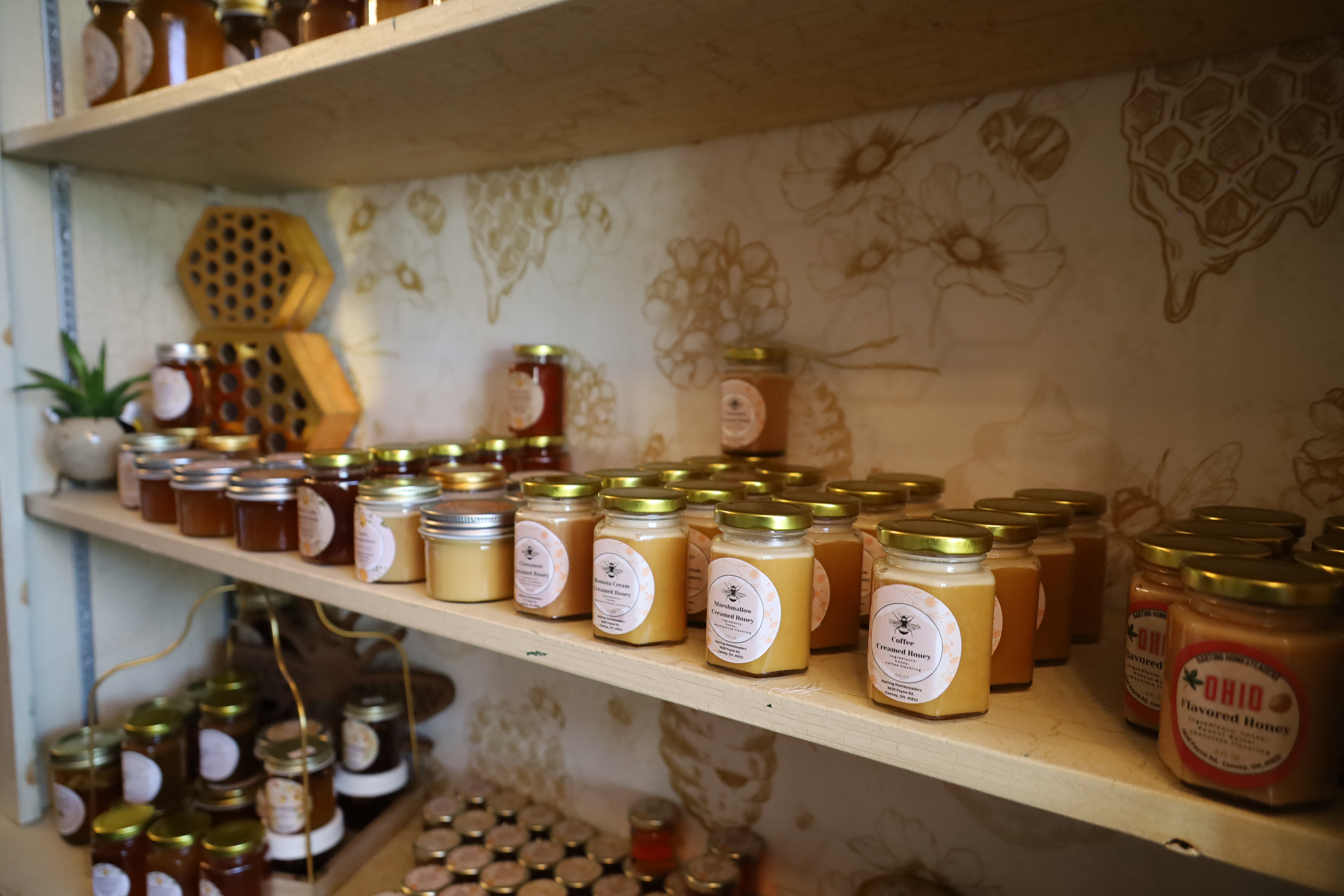 Harting Homesteaders