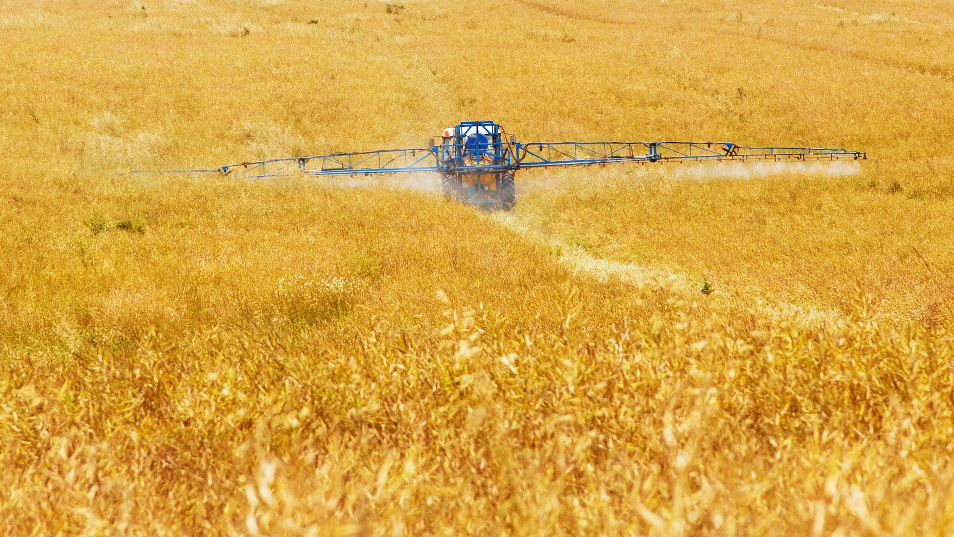 tractor in field