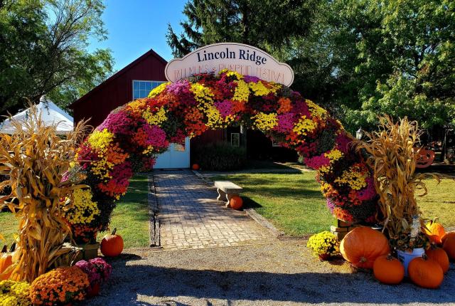 Lincoln Ridge Farms