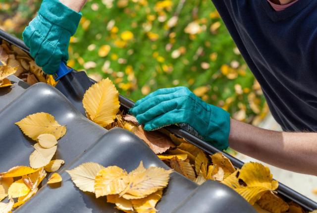Cleaning Gutters