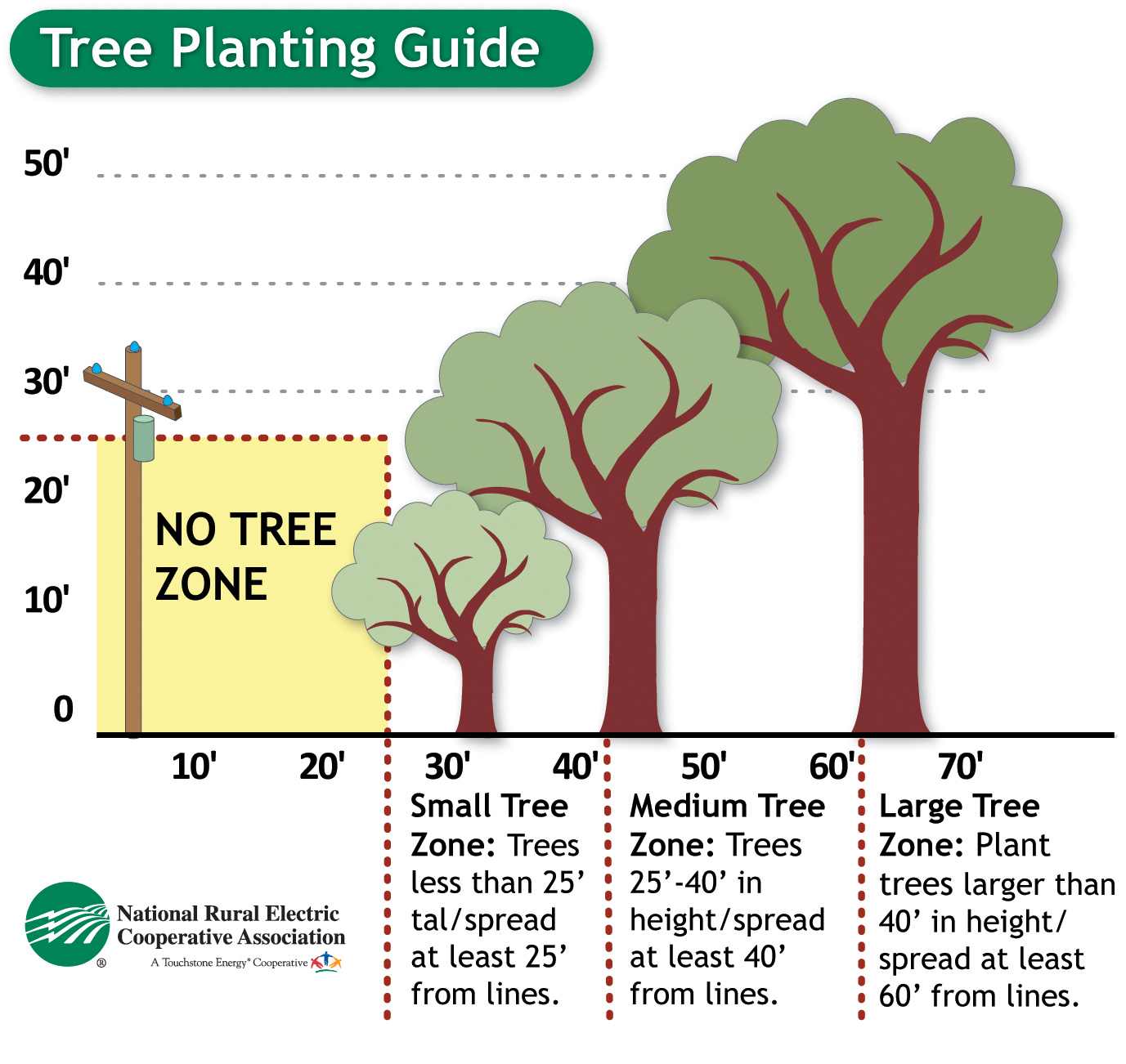 Tree Guide.jpg